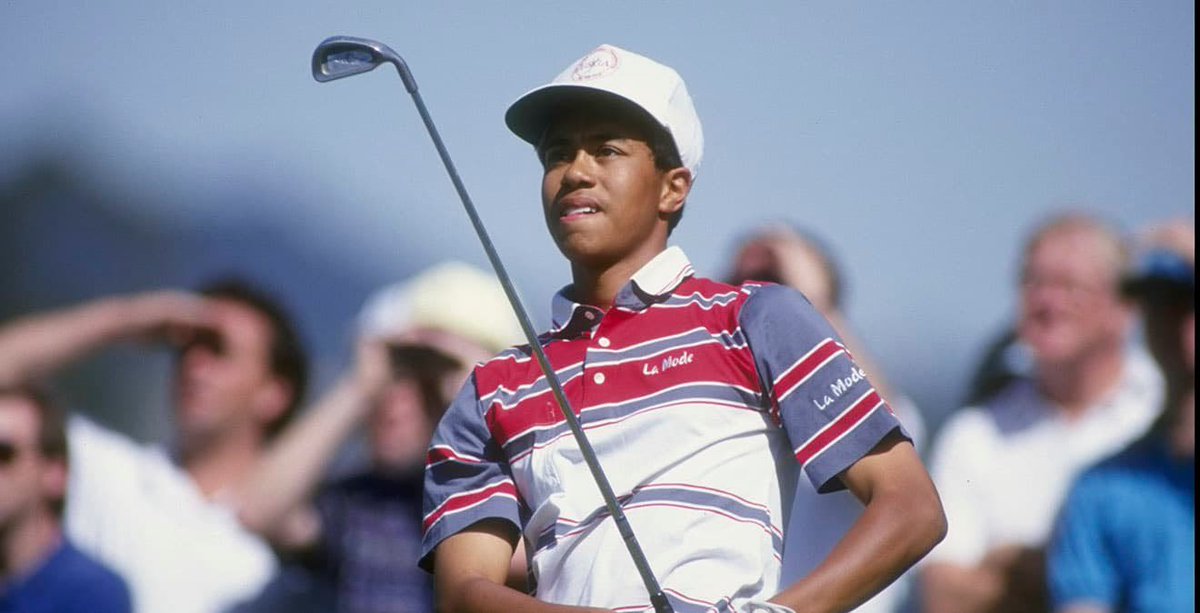 ping eye 2 woods