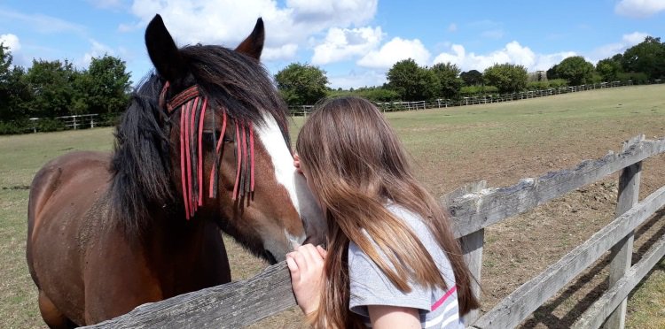 Tonight's blogs looks at how I accessed #equinetherapy, but is also asking all of you for recommendations on equine therapy centres/therapists, as well as days out that allow you to get close to horses.  Please share.  💚#GoRacingGreen

goracinggreen.co.uk/blog/f/accessi…