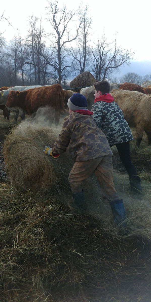 IslandRobWhite's tweet photo. #CdnAgDay
Feeling very fortunate to be a part of the agricultural industry and to be celebrating #CndAgday 
One of the main reasons my wife and I wanted to farm was so that we could raise our kids around this industry and the value's and the life style that comes along with it. https://t.co/LXt7A0zsST