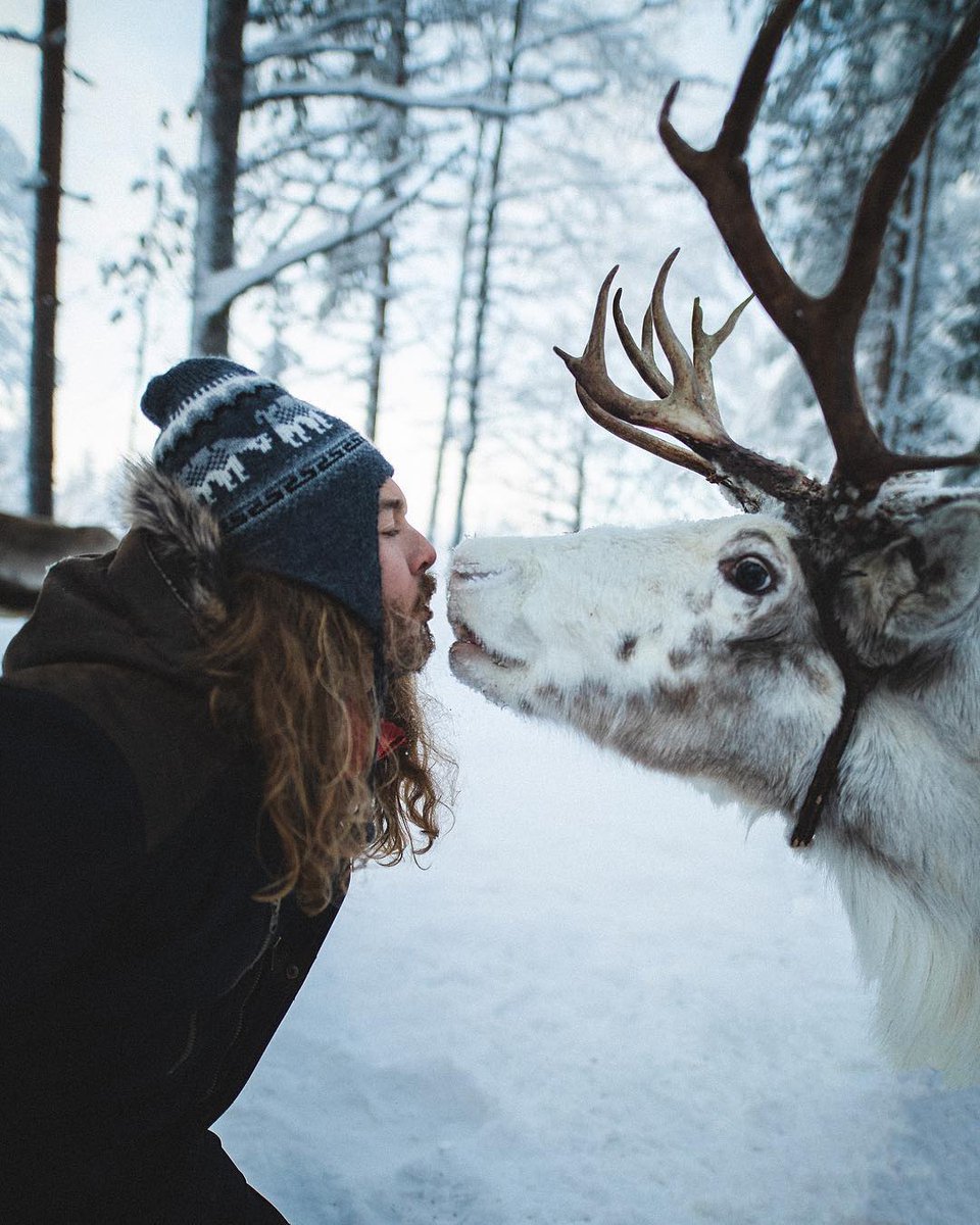 Instagram on Twitter: "You never forget your first (reindeer) kiss. #WHP??  https://t.co/GFU0f5XDUX… "