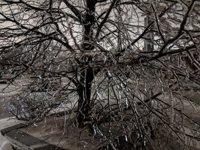 Torontohydro Hashtag On Twitter