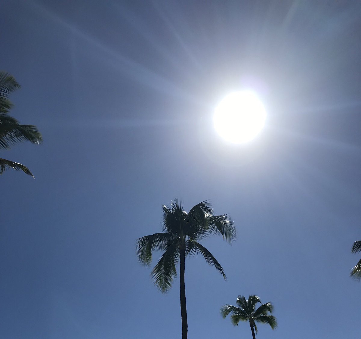shannahalbert's tweet photo. Thankful for sunshine in Maui (especially when there is snow back home) #MakingGratitudeEasy https://t.co/nWZIQ9Sj9d