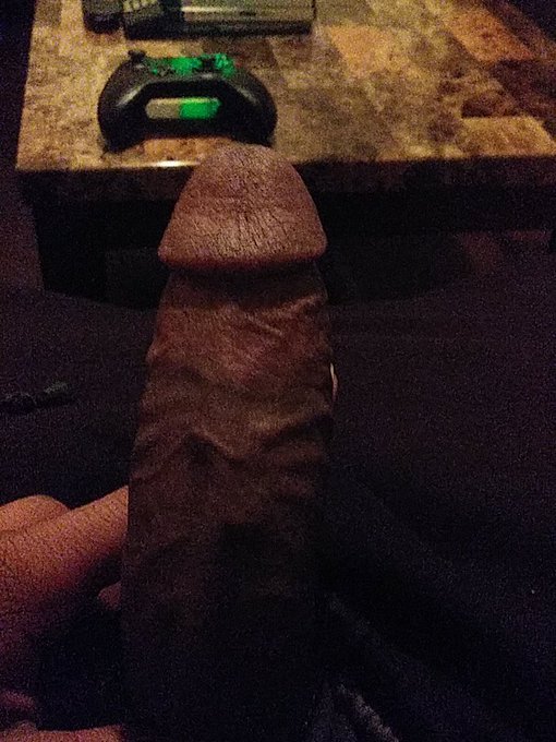 Michael Reid’s pics and videos