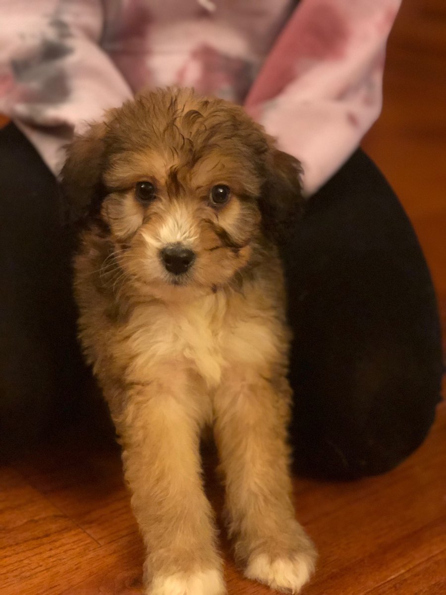 JulieJustin2's tweet photo. Welcome to the fam little Belle💗@Kbrooks_6 @epeterson013 https://t.co/DAoG3aa1GT