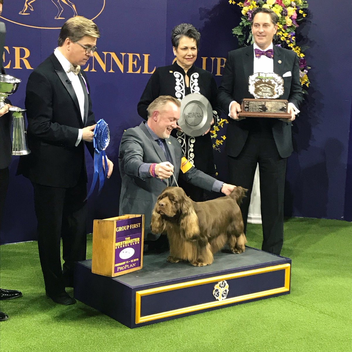 King the wire fox terrier named Westminster's best in show – as it ...