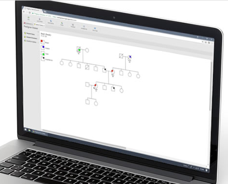 Progeny's tweet photo. Draw and print pedigrees or genograms quickly and easily w/ our free online pedigree tool:

https://t.co/RahIxAFU24

#Genetics #ClinicalResearch https://t.co/5lXT7KVYTR