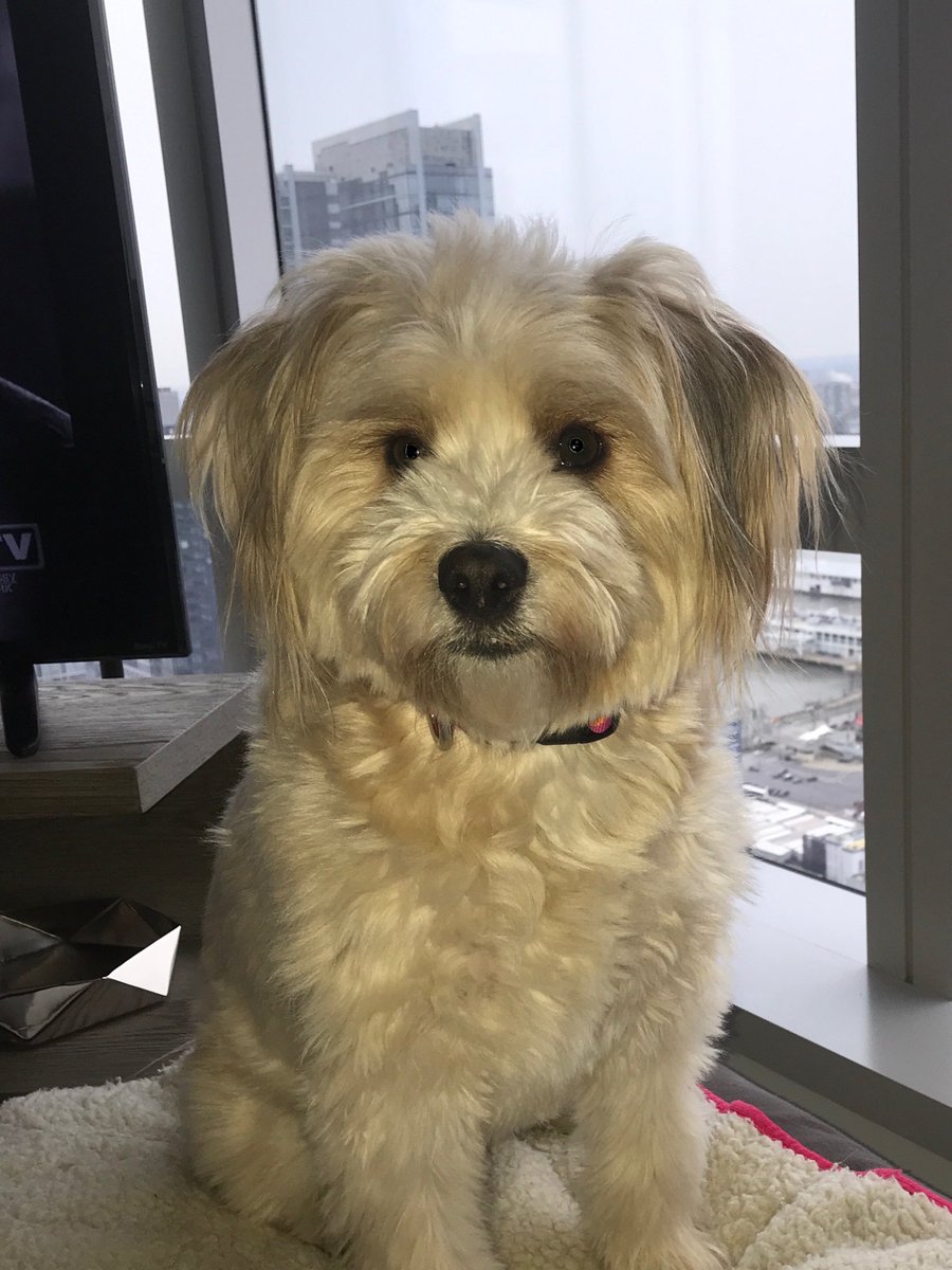 wdbull's tweet photo. #BestAtHomeContest https://t.co/JkAljix3yK