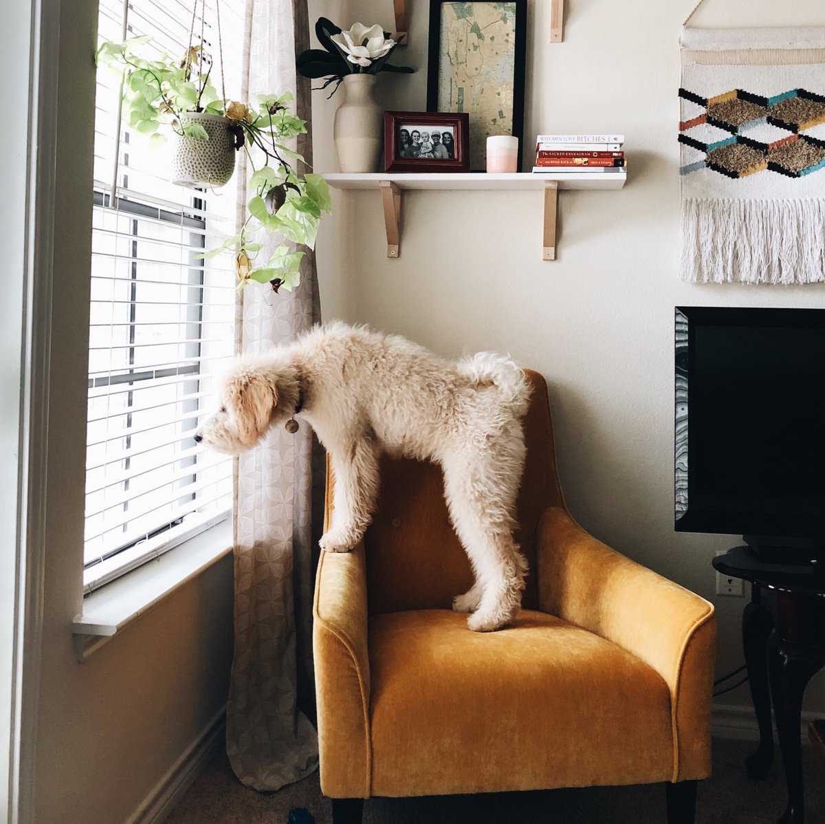 CarolineKunkel's tweet photo. upgraded my security system https://t.co/bq6BI0ixpX