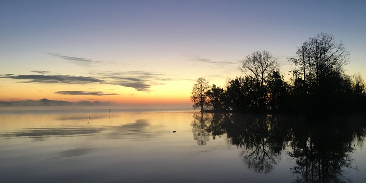 theadvguides's tweet photo. Fish Cypress At Lake Moultrie (Charleston) https://t.co/ixClsdRQjh https://t.co/IRBQwQssQO
