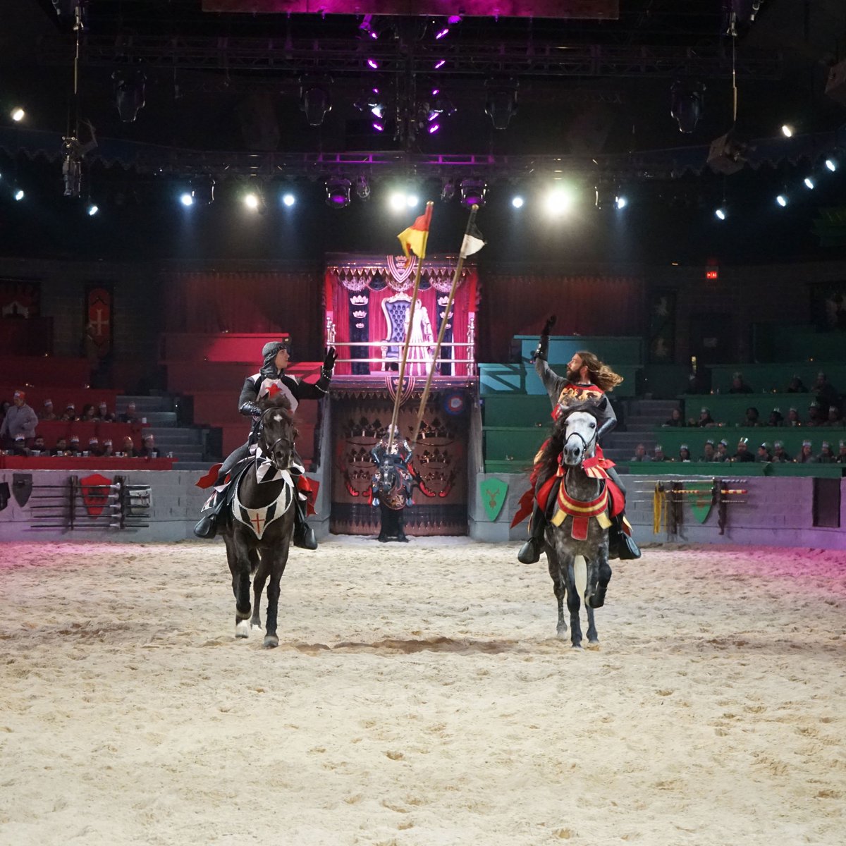 MedievalTimesTX's tweet photo. Do you know how many times do the Knights need to throw the flags to win carnations for their kingdom? ๐ฎ
#carnation #flag #MTFan #MTDallas #games #medievaltimes #instagood #fun https://t.co/vKX1pE52NY