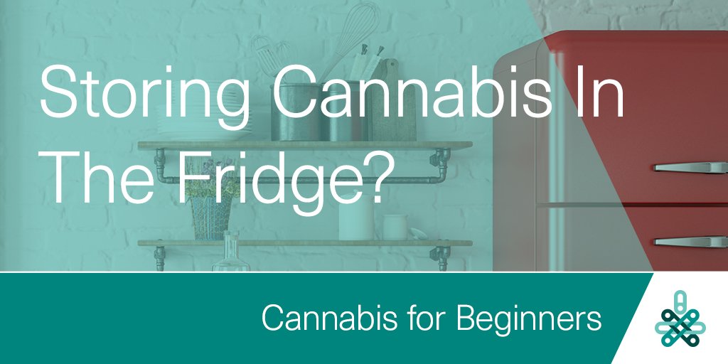 To protect your dried flower’s quality &amp; efficacy, it's important to store it properly. For example, do not store cannabis in the refrigerator or freezer. Fluctuations in humidity can increase chance of mould or mildew. More storage tips at the link>> bit.ly/2Bu65OM