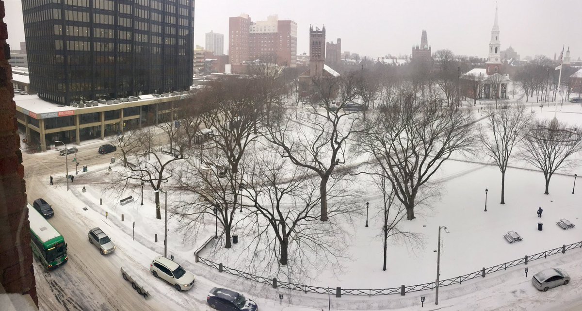 urbandata's tweet photo. View today from DataHaven(@ctdata) headquarters. There’s a large #sneckdown forming on the southeast corner of the #NHV Green! Pedestrians would love to have that reduced intersection crossing distance every day of the year. 
#cplan cc @doughausladen https://t.co/htoHKmvk71