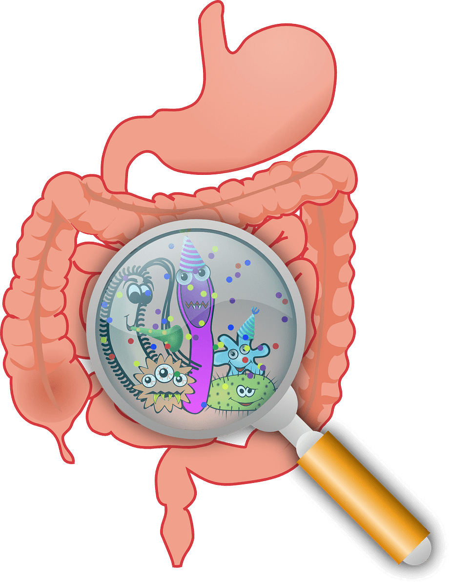 DoctorTipster's tweet photo. How to improve your digestion https://t.co/Z0vGvqRVRN https://t.co/2wragu7Spt