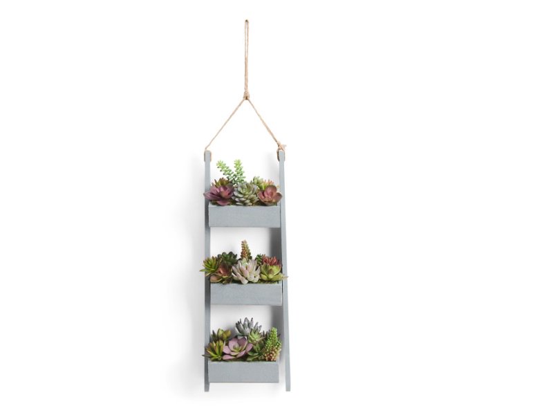 belowtags's tweet image. 30% Off Aphorism 24in Ladder Hanging Faux Succulents on TJ Maxx now for only $29.99 (Compare at $43.00 in other stores). Enjoy free shipping on all orders. Free returns at your local store. #TJMaxx #BelowTags #Deals #DailyDeals #DealHunter #Coupons ow.ly/W05030nG0Vb