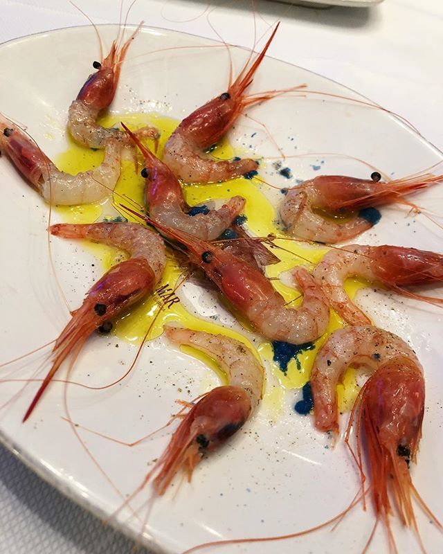 eatsaboutfood's tweet photo. Quisquillas de Motril marinadas en @lobitodemardg... para comerse mil... #Quisquillas #LobitodeMar #Marbella #Foodie #EaFoodinMarbella https://t.co/LzR9kRJcsZ