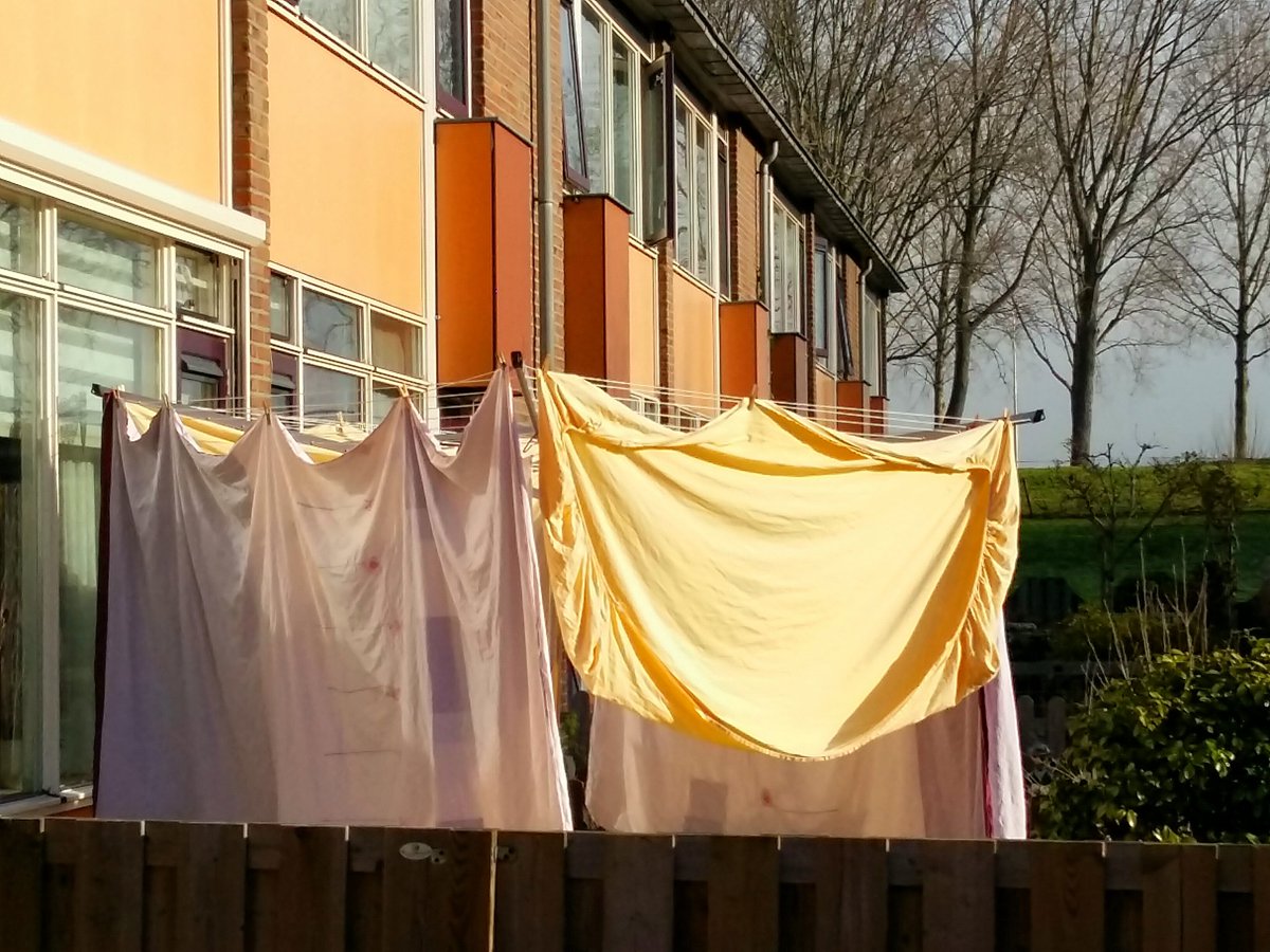 witsj's tweet photo. Het wordt goed weer om de was weer buiten te hangen. Heerlijk
@WNLVandaag @BuienRadarNL @LincsSkies @marcopverhoef @omroepwest @weeronline @weermanreinier @MeteoGroupWeer @WilliamHuizinga https://t.co/GGsQ9CyNmj