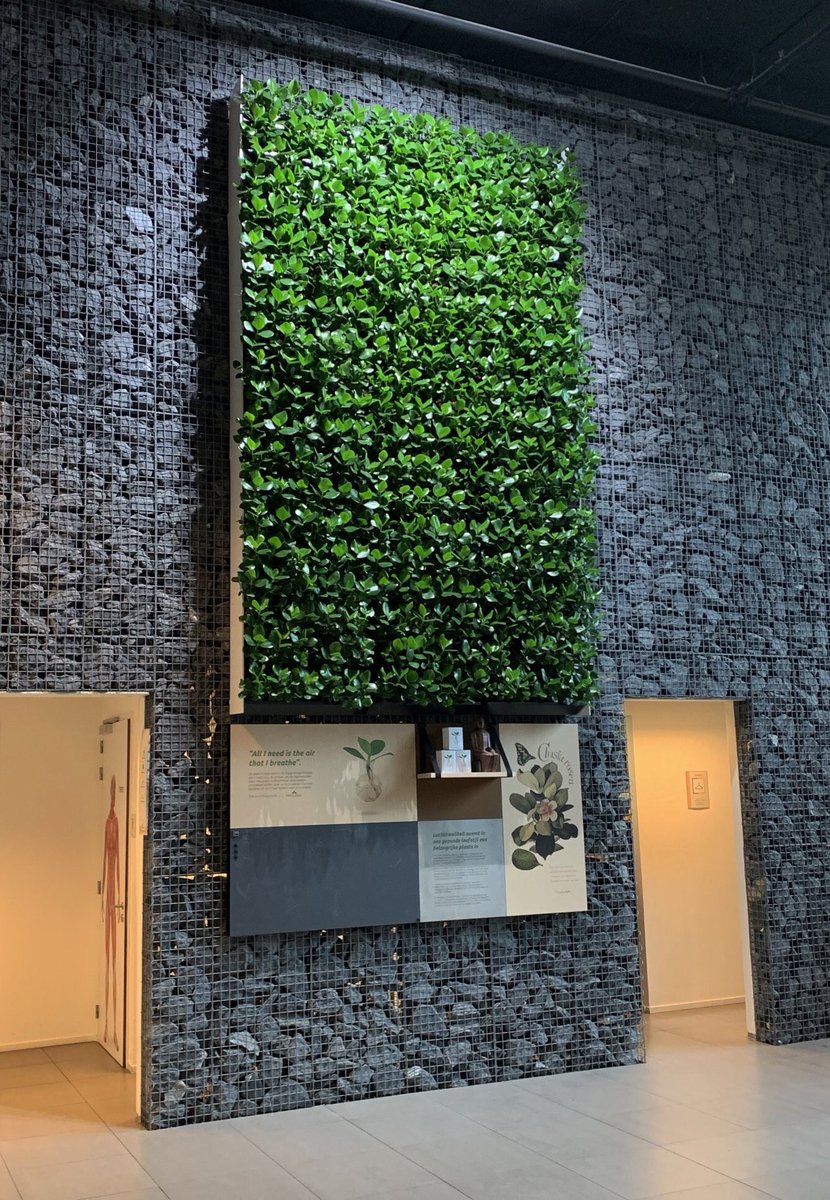 Luchtzuiverende prinses onder de planten wortelt zich bij <a href="/CORPUS/">CORPUS</a> 🌱💚 Super gaaf deze samenwerking! Lees het hele bericht via onderstaande link.

rootz.plus/2019/02/11/luc…