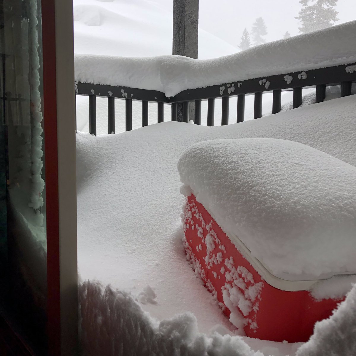 “Grab me a cold one from the cooler” #mammothmountain #snowday2019