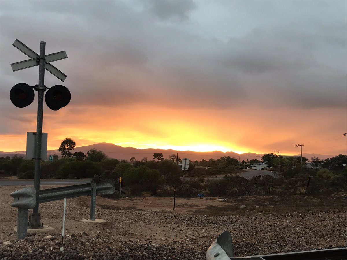 cateintoaction1's tweet photo. Morning beauty in #portaugusta 🌅 

#beauty #morning #SUNRISE #SouthAustralia https://t.co/mGqKZWREv5
