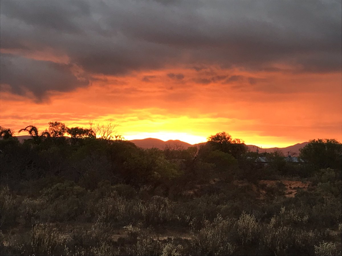 cateintoaction1's tweet photo. Morning beauty in #portaugusta 🌅 

#beauty #morning #SUNRISE #SouthAustralia https://t.co/mGqKZWREv5