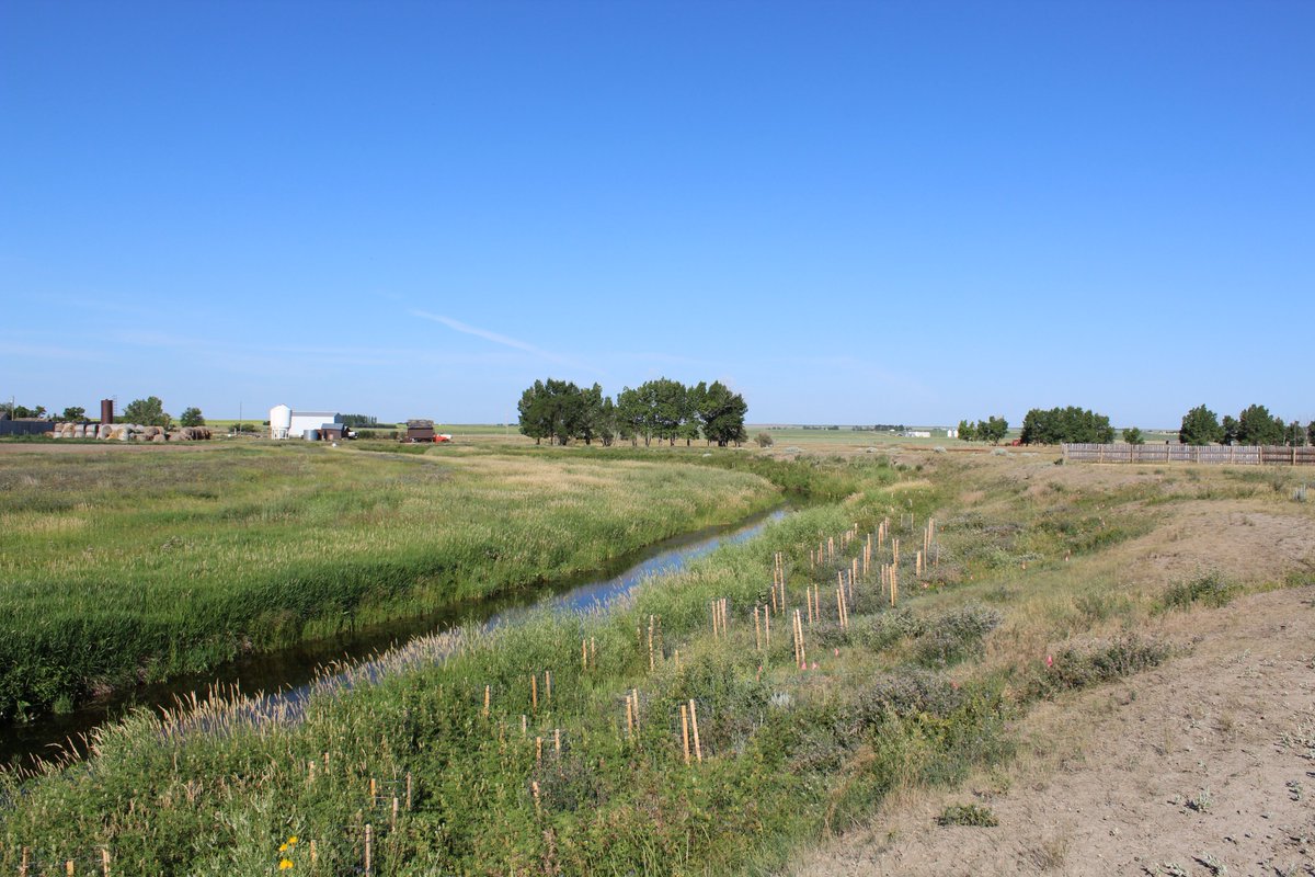 SEAlbertawaters's tweet photo. Celebrating Canada Agriculture Day #CdnAgDay by sharing #BeneficialManagementPractices being implemented by producers within the SEAWA watershed - #riparianrestoration through installation of livestock off-stream watering systems, fencing off livestock, &amp; planting native shrubs. https://t.co/GKgCCu2zvU