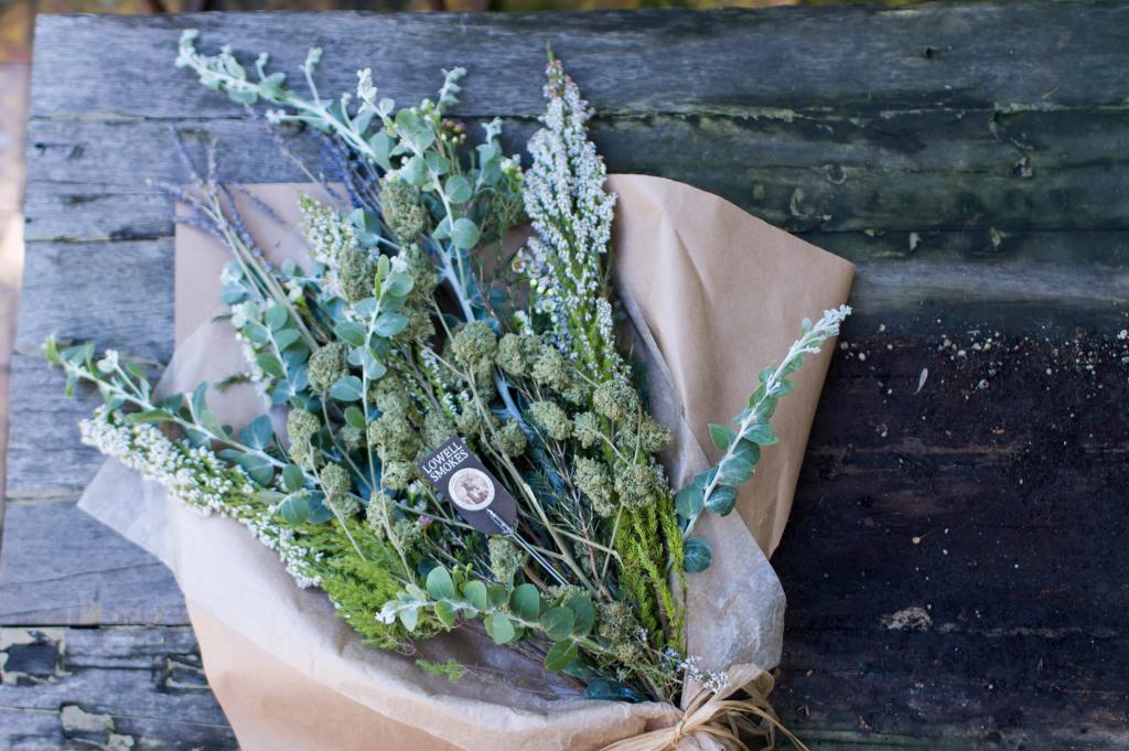 SplimmTeam's tweet image. For those loved ones in your life who also love #cannabis, this guide is the path to the perfect #Valentines gift. From affordable ways to show you care, to more luxurious ways to say I love you, check out our suggestions below!

splimm.com/2018/02/09/can…