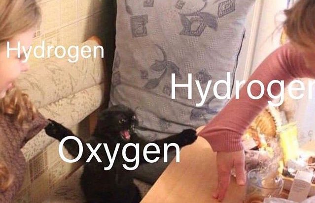 non aesthetic things (@picturesfoider) on Twitter photo 