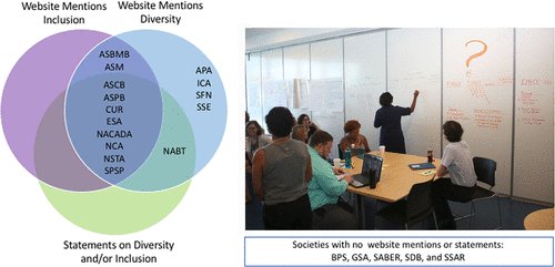 social rights jurisprudence emerging trends in international