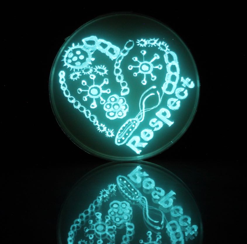 markowenmartin's tweet photo. A #MicrobialTruth for #ValentinesDay in #LuxArt from the talented @swirlgirl31415! @univpugetsound @ASMicrobiology https://t.co/74rU0M1PWk