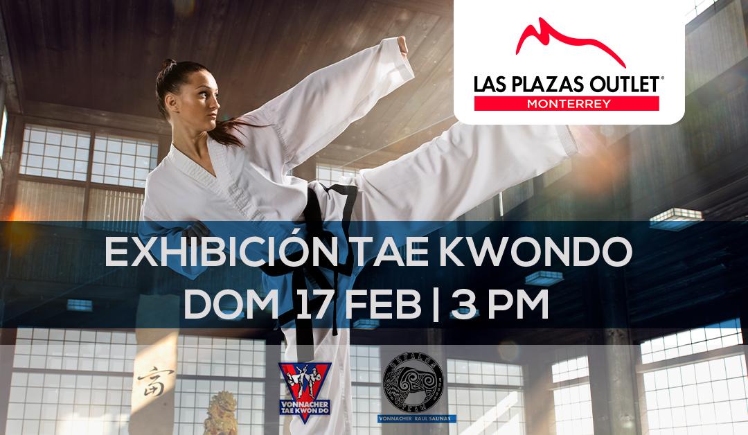 OutletMonterrey's tweet photo. Disfruta de la demostración de Taekwondo que la academia Vonacher Tae Kwon Do trae para ti, además habrá muchas sorpresas que no te puedes perder. !No faltes! https://t.co/Kn8sxSR5Il