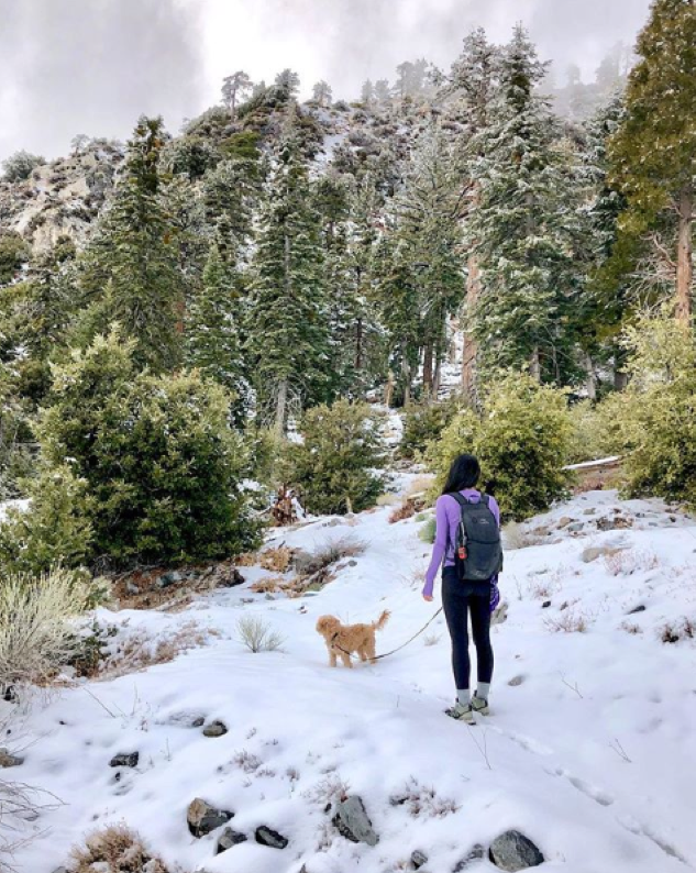 ColosseumBrand's tweet photo. A breath of fresh air isn't complete without a best companion...your favorite black leggings 😉
📸: @followtiffsjourney https://t.co/IaUgFEhSQk