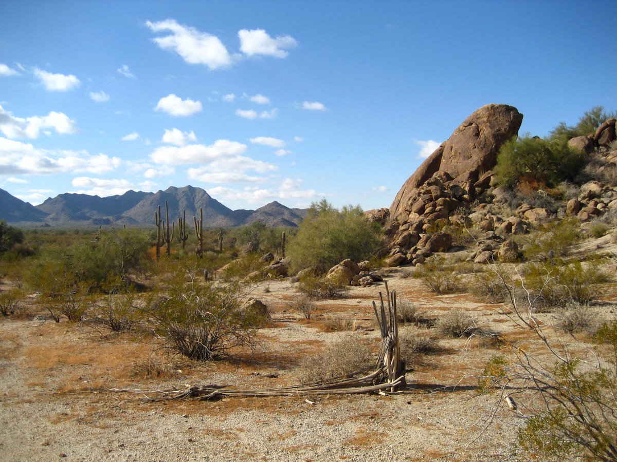 "Habit is the enemy of creativity." According to Forbes Magazine, two of the top ways you can cultivate Innovation and Creativity in business are to take a vacation and go to conferences. Mindcamp Southwest gives you both! Join us March 28-31 and unleash your own creativity.