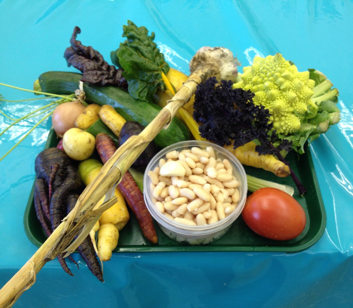 Project_CHEF's tweet image. Looking outside on a snowy winter day it’s hard to believed that in 5 months time we will be enjoying a #bclocal bounty. Thank you farmers on #cdnagday for the work you do to put food on our plates. #bcgrown @EatDrinkBuyBC