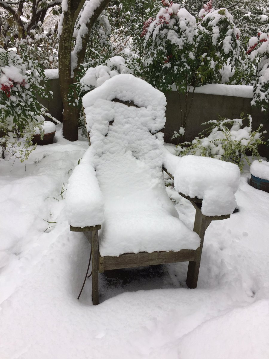 Project_CHEF's tweet image. Looking outside on a snowy winter day it’s hard to believed that in 5 months time we will be enjoying a #bclocal bounty. Thank you farmers on #cdnagday for the work you do to put food on our plates. #bcgrown @EatDrinkBuyBC