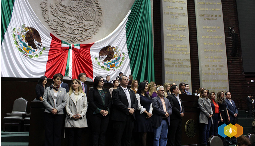 MonicaAlmeidalo's tweet photo. Respaldo la política pública del #GobJal, @EnriqueAlfaroR, en su estrategia para defender los #Derechos de las #Mujeres mediante la Secretaría de Igualdad Sustantiva. El Instituto de las Mujeres no desaparece, solo se transforma. Coincido con @MovCiudadanoMX en @Mx_Diputados https://t.co/zjfuR576mT