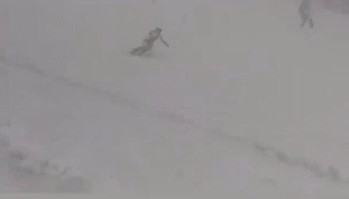 SnowsportsIRE's tweet photo. Imagine skiing 50kph weaving between red/blue poles 12m apart in big snowstorm. Now imagine doing it racing @EYOWF2019 at only 16-great job @elleemmurphy battling difficult conditions to finish 40th of 102 racers  #TeamIreland @TeamIreland @sportireland @Darrenfrehill @ponyyelof https://t.co/DCRDxVp28L
