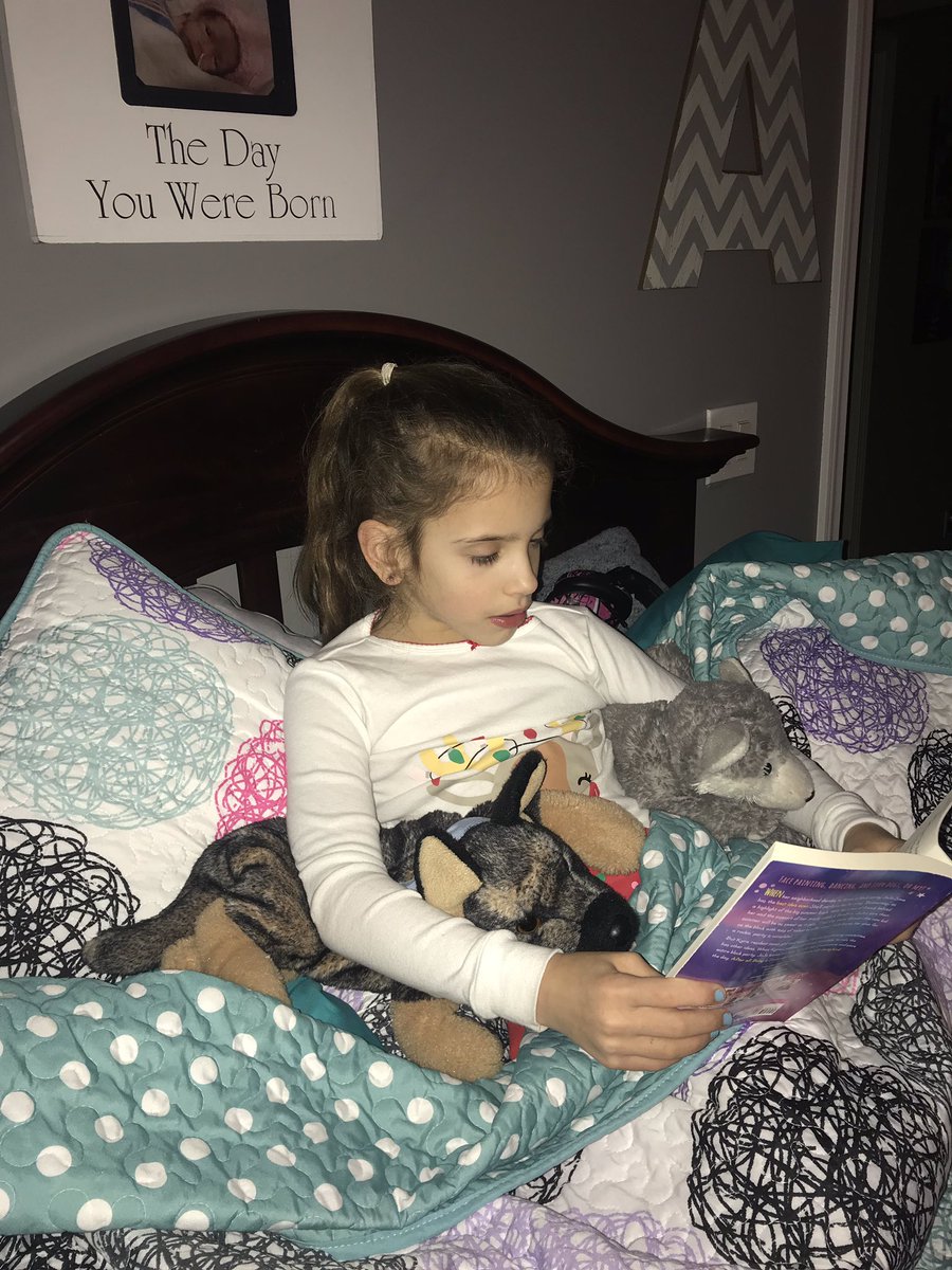 MrsStrain2's tweet photo. This #PearsonPioneer chose to read a bedtime story to her favorite stuffed animal dogs instead of her real dog and/or cats. These two sit longer for her stories 😄📚🐶 #pearsonpets https://t.co/oEwWrn04BW
