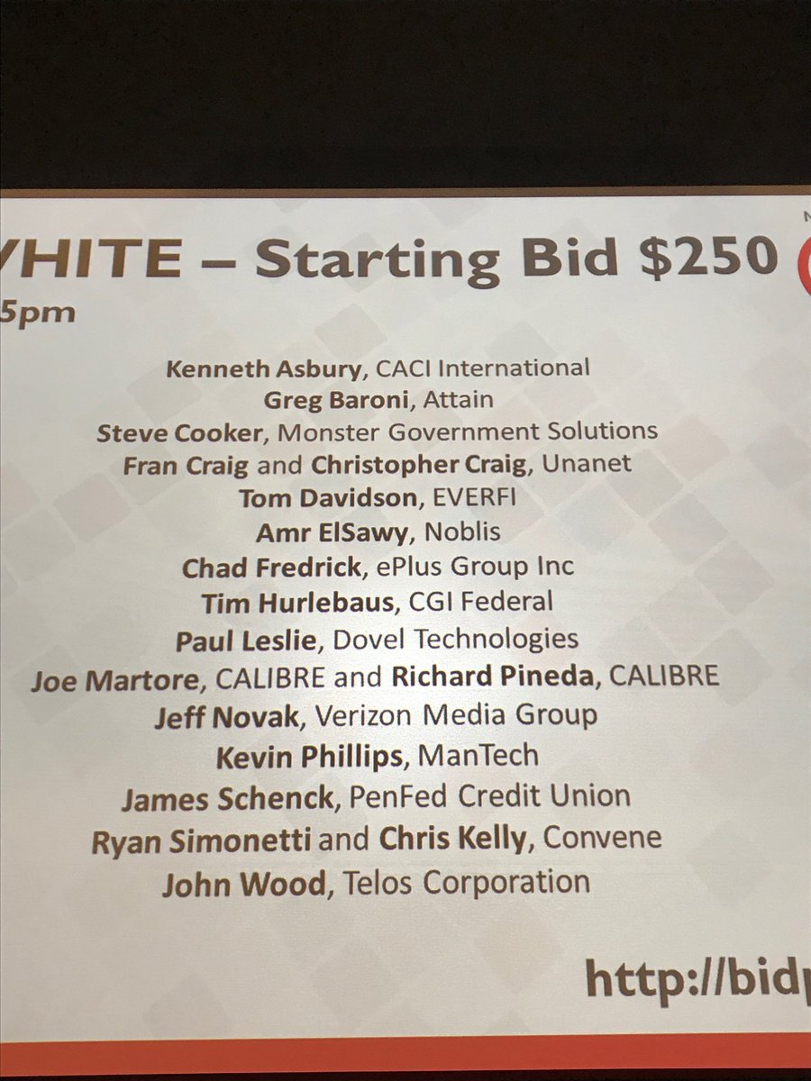 nvtcvei's tweet photo. Phenomenal business leaders donating their time for the @nvtcvei @NoVaTechCouncil #CXOAuction https://t.co/M4Ty695uTZ