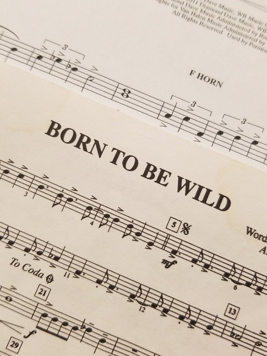 jcu_bands's tweet photo. Are you born to be wild? https://t.co/KpqaRDeYKA