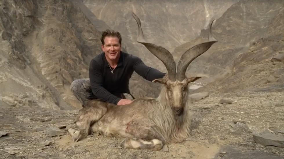 The Hill tweet media