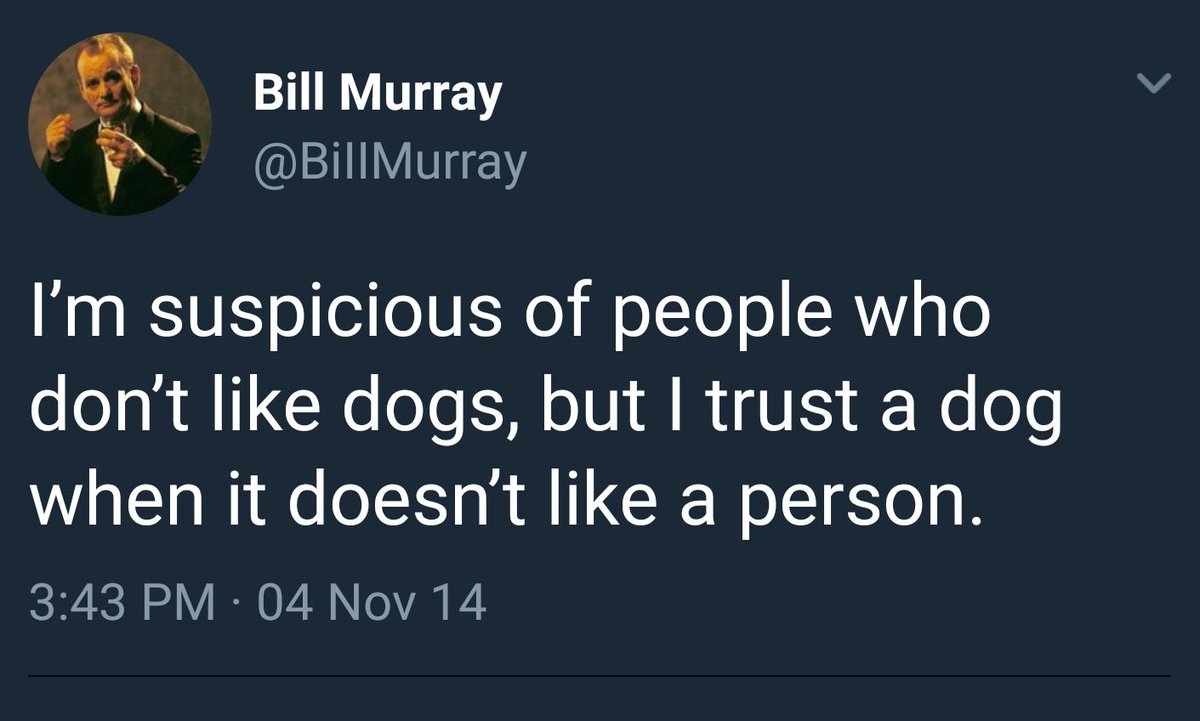 davey🇺🇲 tweet media