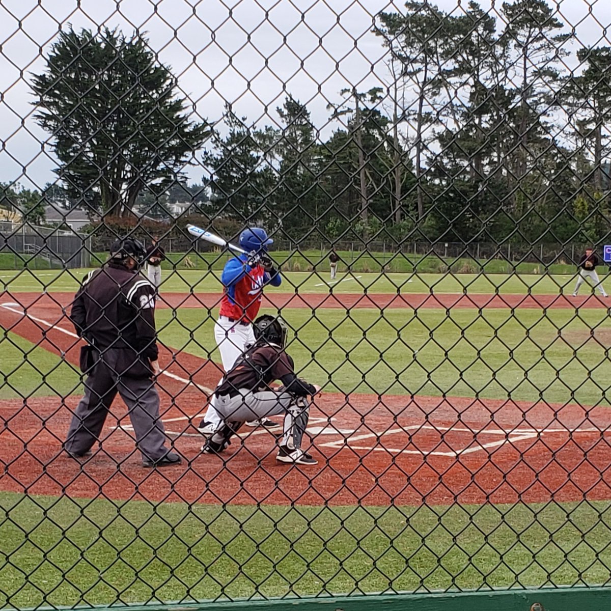 GaggeroC's tweet photo. SI Wildcats up 5-0 vs HMB at Fairmont. @Collinmac_ 2  RBIs. @SIscores https://t.co/8c4hWFSqB5