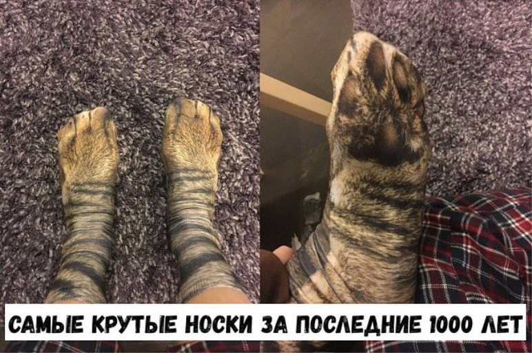 getrelaxme's tweet photo. #хендмейд #своимируками #handmade 
#взаимныйфолловинг
Остальное на https://t.co/ivUKqMq6JE https://t.co/fDMy6wb2I1