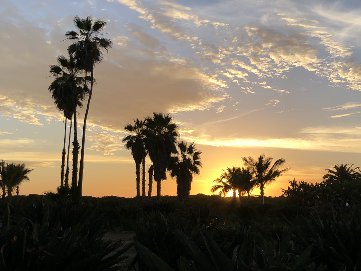 PalmOrchard's tweet photo. Another day, another gorgeous sunset. #nofilterneeded #BajaCaliforniaSur https://t.co/A8UGn2NjuG