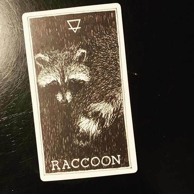 JessieDEvans's tweet image. My spirit animal card... #Hosed #GeorgeCooney bit.ly/2Svk95d