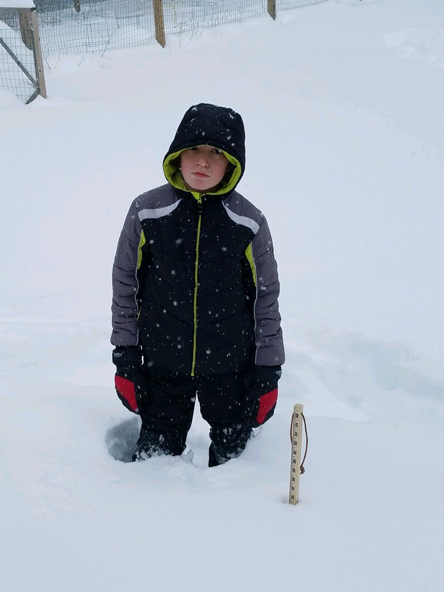 MrsBainAIS's tweet photo. Snow Day Challenge: Measuring snow using standard and non-standard measurement. #AISRails https://t.co/2w70D1Q40h