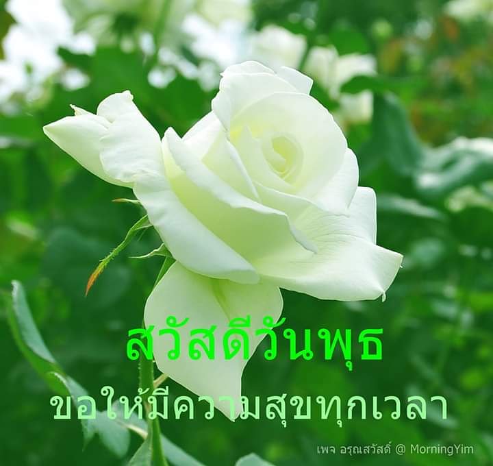 My Image 14