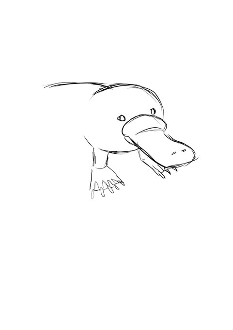 カモノハシのtwitterイラスト検索結果 古い順 カモノハシのtwitterイラスト検索結果 古い順