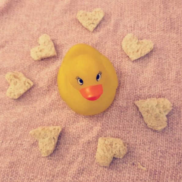 duckgoingplaces's tweet photo. Valentines Duck like:
💓💖💗❤🦆
#aduck #duck #rubberduck #thisduckisgoingplaces #ducksofinstagram
#duckingaround #photooftheday #travelphotography #travel #duckslife #valentines #valentinesday #love #hearts #valentinesdaycard #bae #photoshoot #dayoflove #romantic #romance https://t.co/TKXRS1M15O