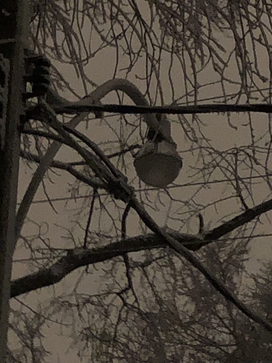 Rolling power outages in my #Toronto neighbourhood - freezing rain outside. #torontostorm